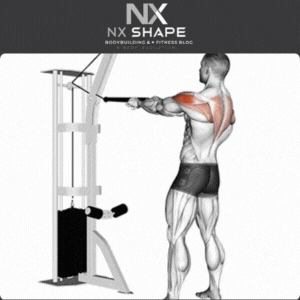Cable face pull