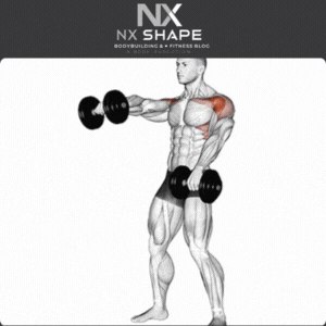 Dumbbell Front raise