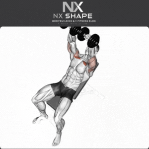 Incline dumbbell bench press