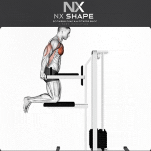 Parallel bar dips