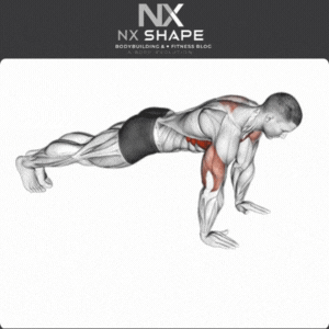 Push ups