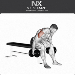 Rear delt fly