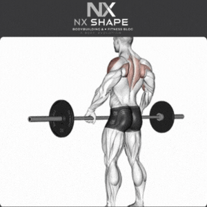Upright row