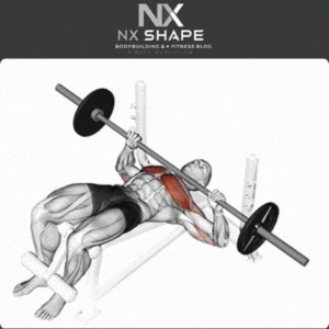 Bench press