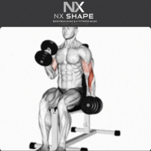 Hammer curls