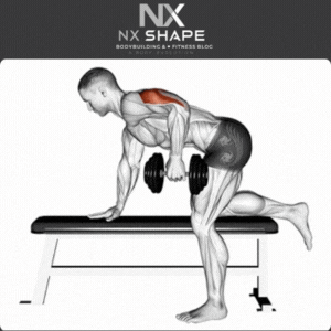tricep Dumbbell kickbacks