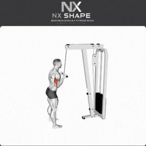 Triceps pulley